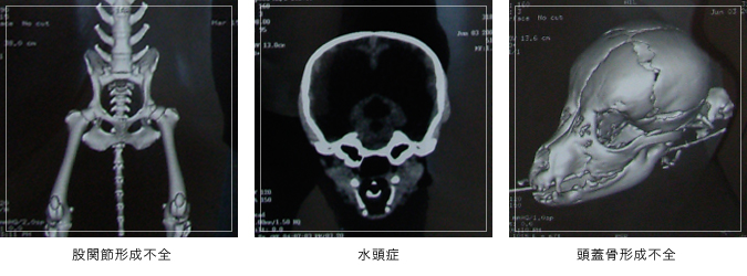 ct画像