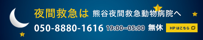 夜間救急　熊谷夜間救急動物病院へ